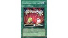 Carte Yu-Gi-Oh! Chambouleur de Cartes CSOC-FR045