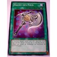 carte yu-gi oh - hache des fous - commune - bp02-fr161