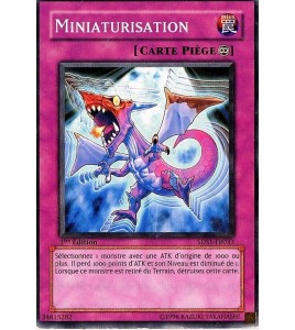 Carte Yu-Gi-Oh! Miniaturisation 5DS1-FR033 