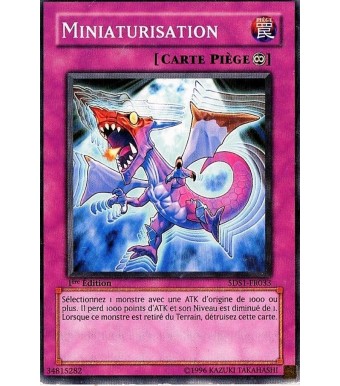 Carte Yu-Gi-Oh! Miniaturisation 5DS1-FR033 