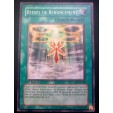 carte yu-gi-oh - rituel de renoncement - cdip-fr039 - commune