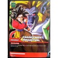 CARTE DRAGON BALL Z - CHANGEMENT INHABITUEL - DB- 380