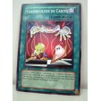 CARTE YU GI OH VERSION F CHAMBOULEUR DE CARTES CSOC-FR045