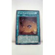 Carte Yu-Gi-Oh! Plan Morphtronique CRMS-FR050