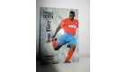 football Carte cards premium panini 1995 n°40 bruno n'gotty lyon