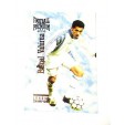 football Carte cards premium panini 1995 n°113 pascal vahiura auxerre