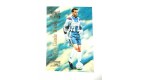 football Carte cards premium panini 1995 n°13 jean claude nadon 
